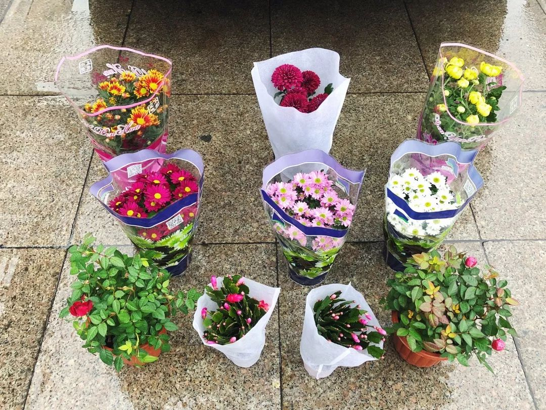 1541489735988505USQu.png image.png