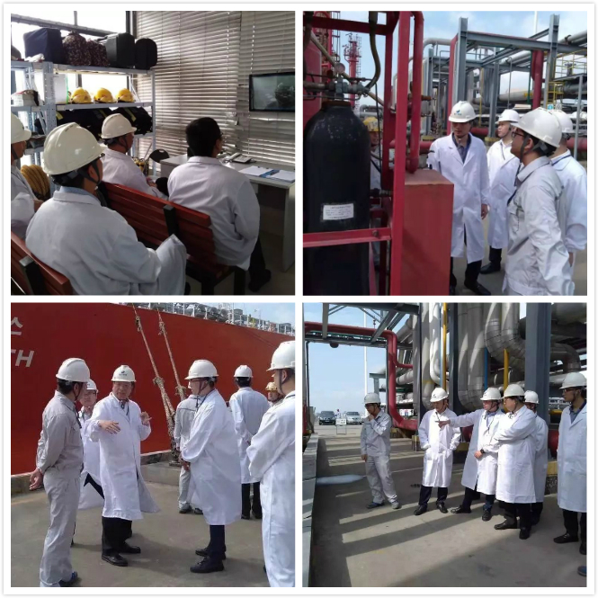 1570493998486527yf6w.jpg qqq.jpg