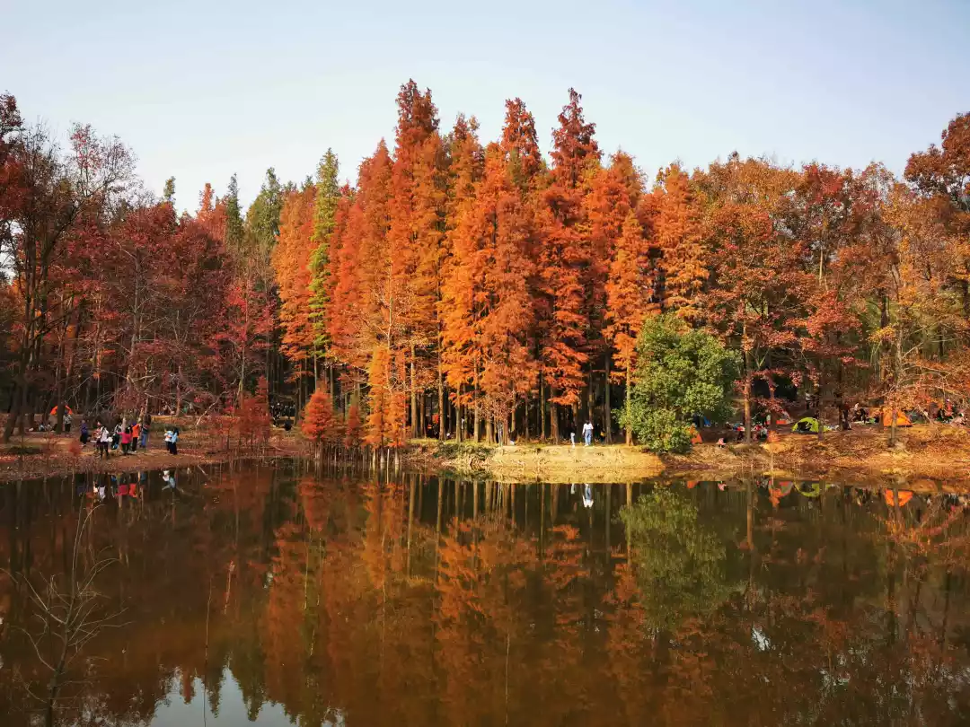 1574992624171350e4Gv.png 9.png