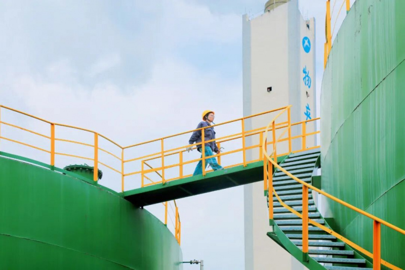 17581586942693101kFS.jpg 640.jpg